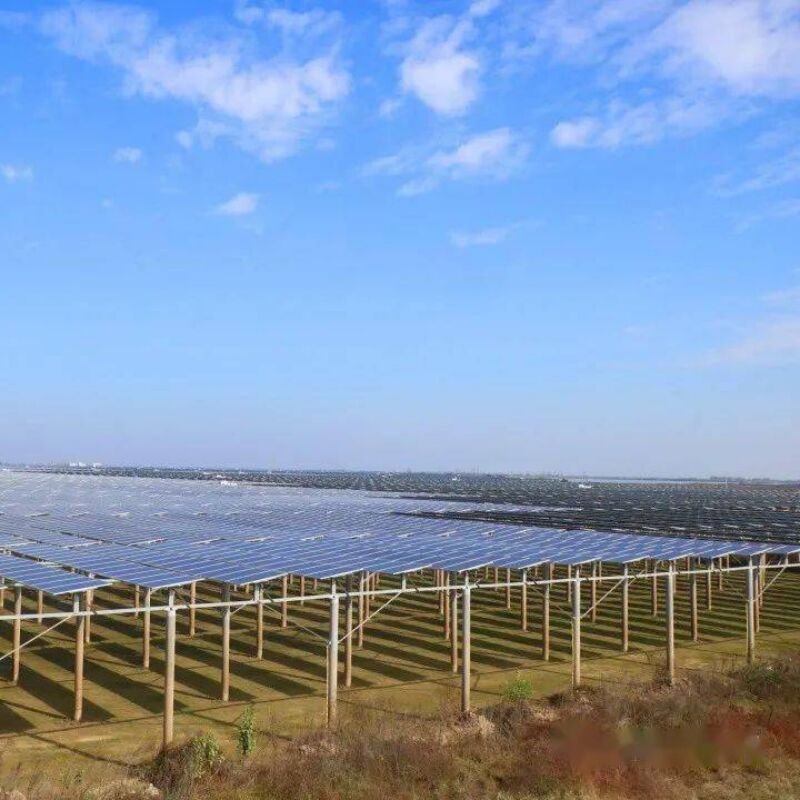 دعامات تركيب الطاقة الشمسية الأرضية توفر مقاومة قوية للرياح والثلوج بتصميم فريد للأعمدة ومكونات مجمعة مسبقًا